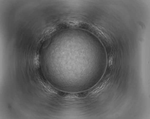 X0000112031156200908101332