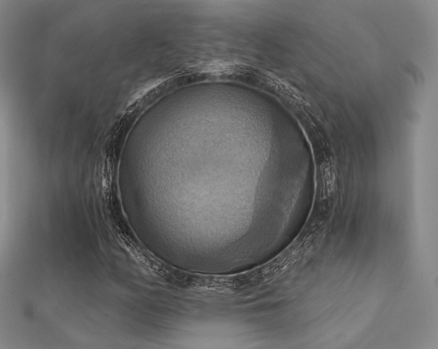 X0000112031158200908101332