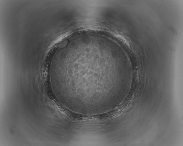 X0000112031159200908101332