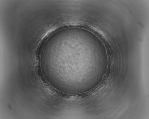 X0000112031160200908101332