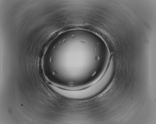 X0000112031161200908101332