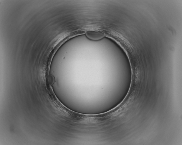 X0000112031162200908101332