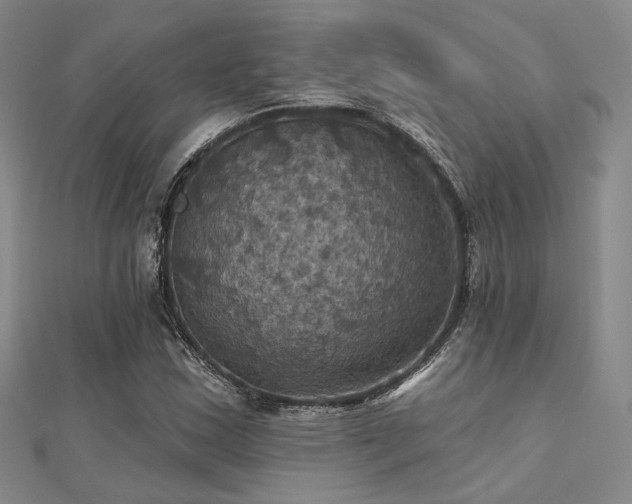 X0000112031163200908101332