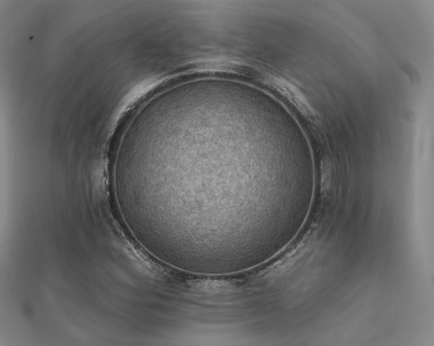 X0000112031164200908101332