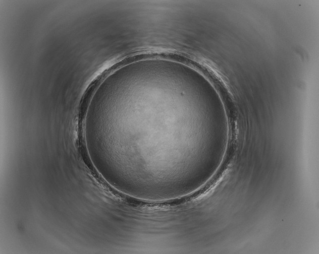 X0000112031165200908101332