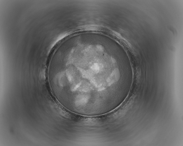 X0000112031166200908101332
