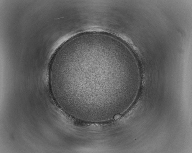 X0000112031167200908101332
