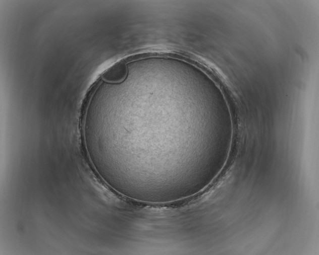 X0000112031168200908101332