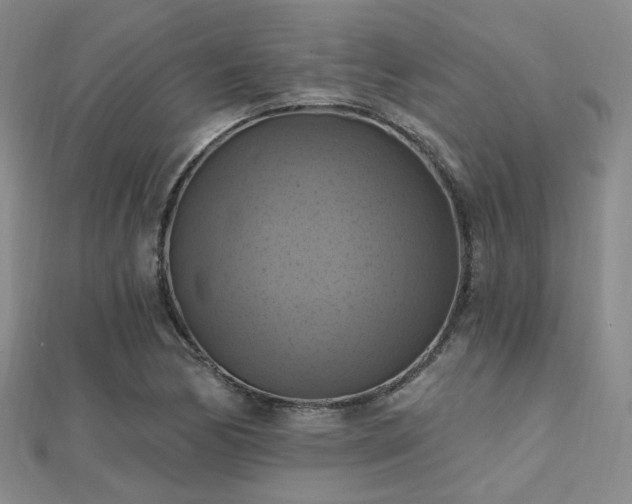 X0000112031170200908101332