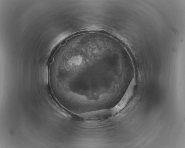 X0000112031171200908101332