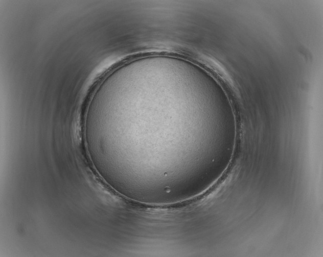 X0000112031172200908101332