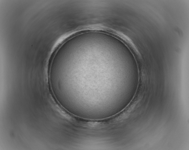 X0000112031176200908101332