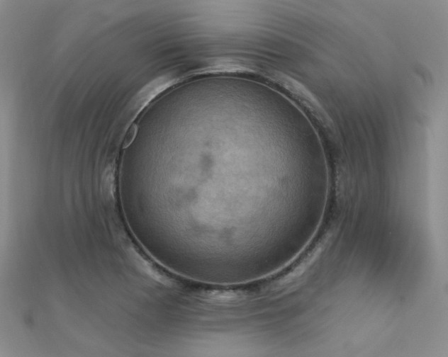 X0000112031177200908101332