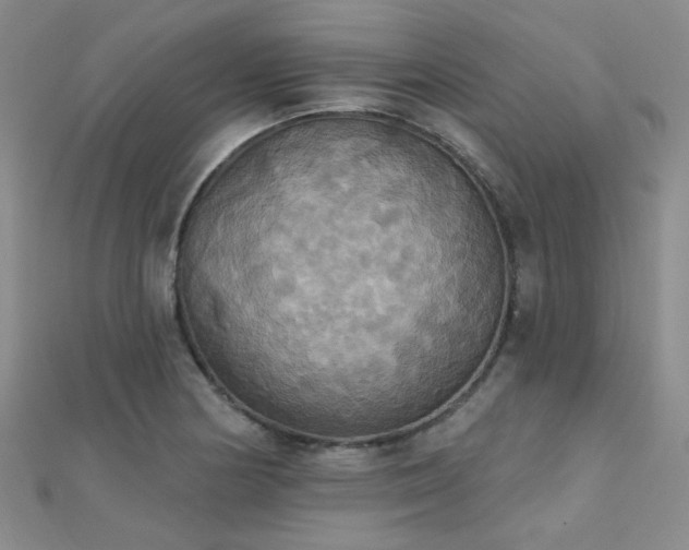 X0000112031178200908101332
