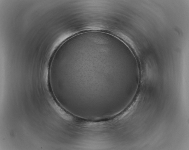 X0000112031179200908101332