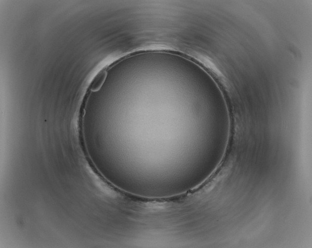 X0000112031181200908101331