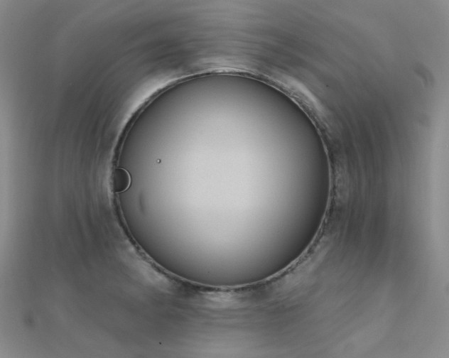 X0000112031182200908101331
