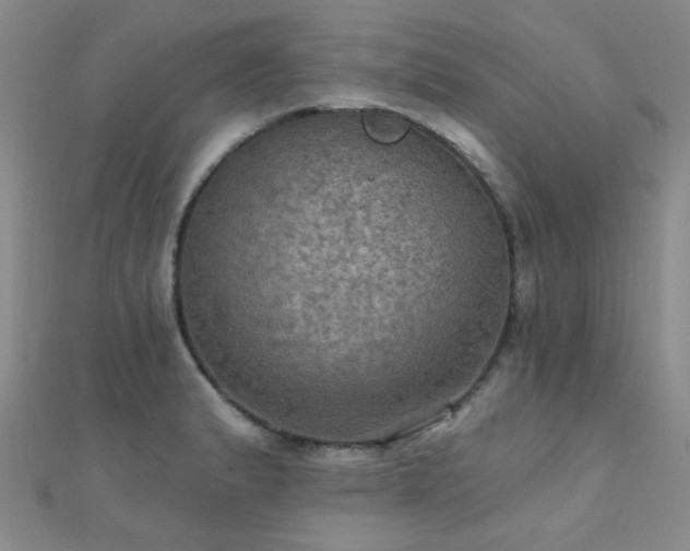 X0000112031183200908101331