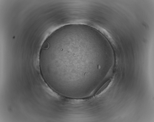 X0000112031184200908101331