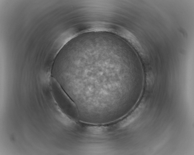 X0000112031185200908101331