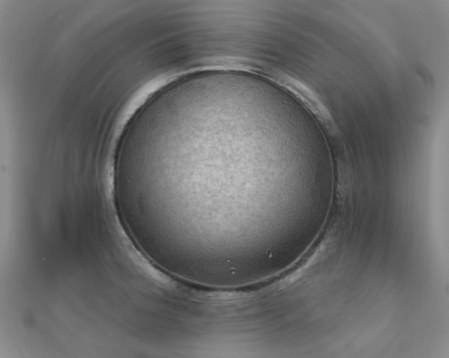 X0000112031188200908101331
