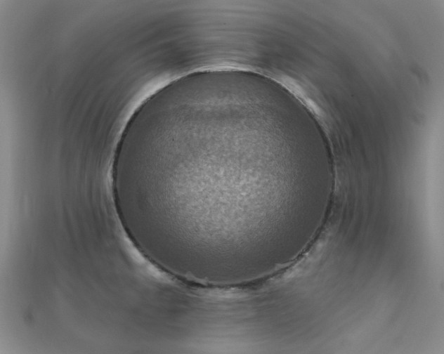 X0000112031189200908101331