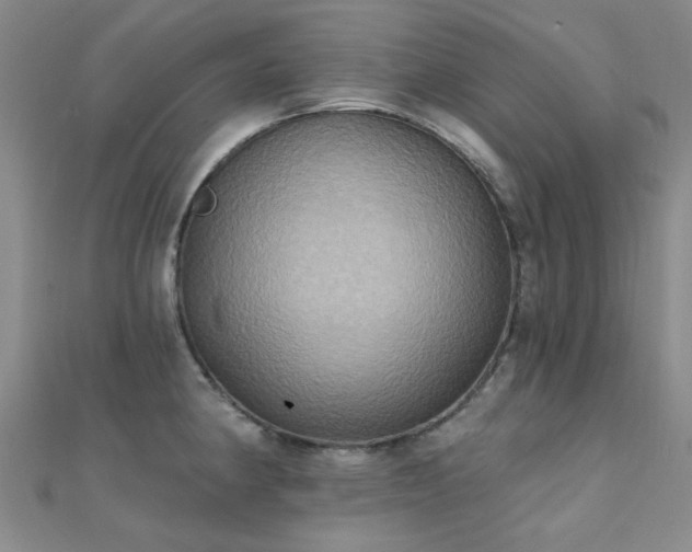 X0000112031190200908101331