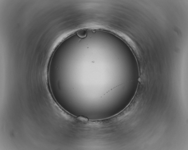 X0000112031191200908101331