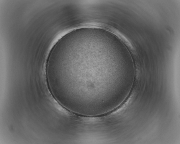 X0000112031192200908101331