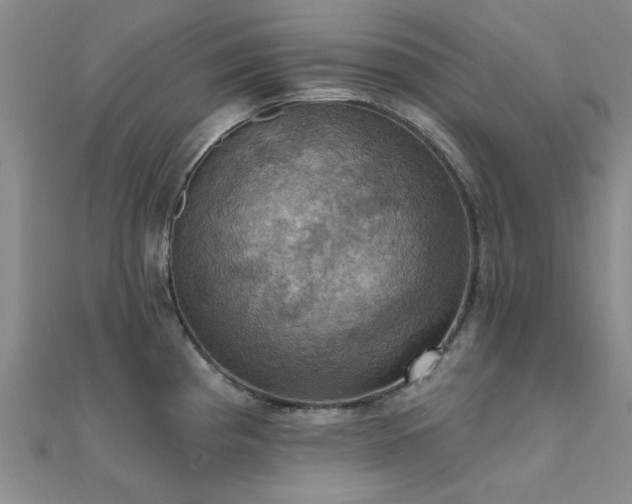 X0000112031193200908101331
