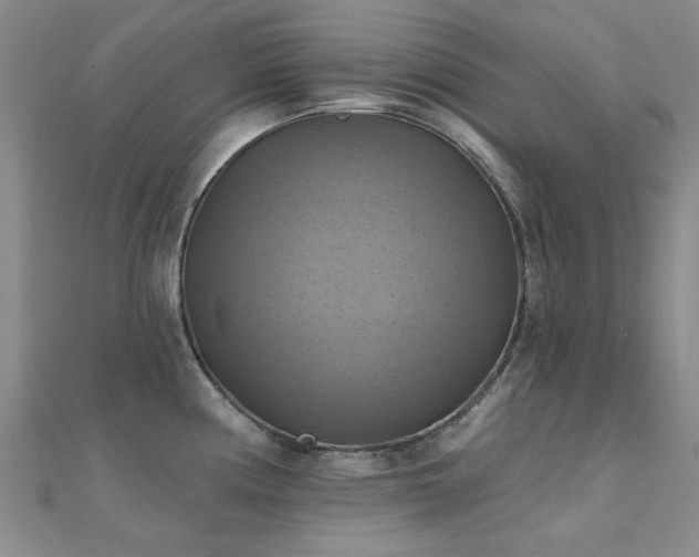 X0000112031194200908101331