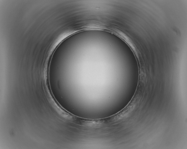 X0000112031195200908101331