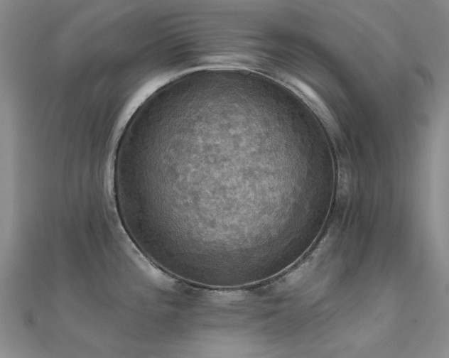 X0000112031196200908101331