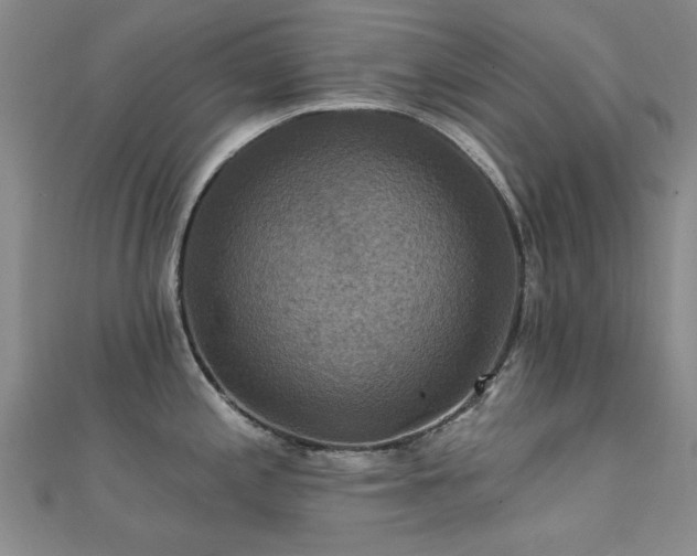 X0000112031197200908101331