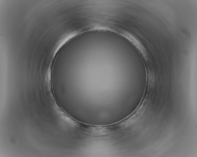 X0000112031198200908101331