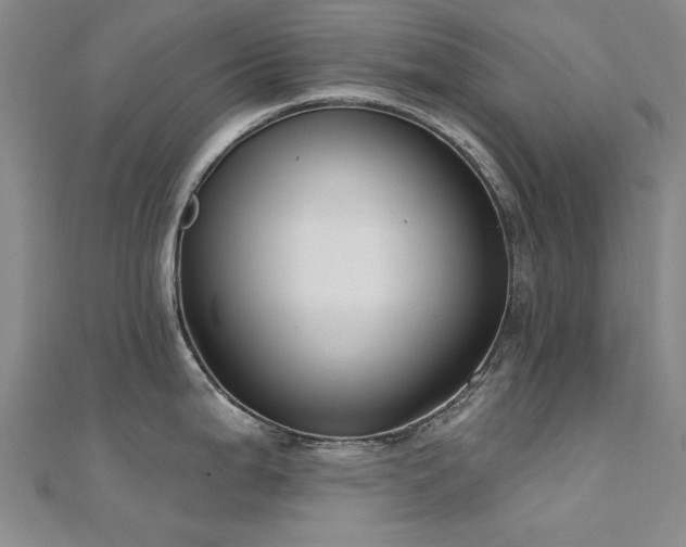 X0000112031199200908101331