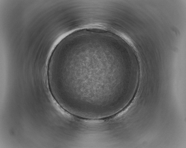 X0000112031200200908101331