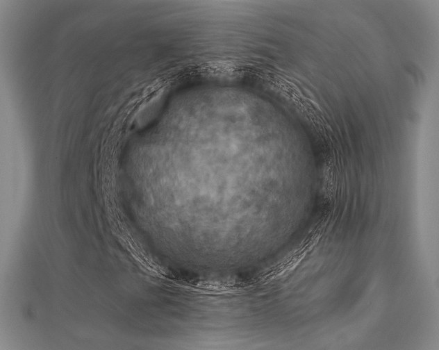 X0000112031201200908101331
