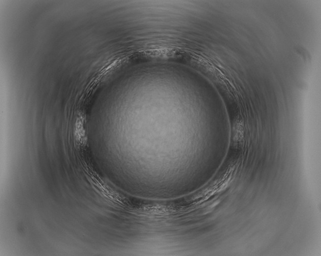 X0000112031202200908101331