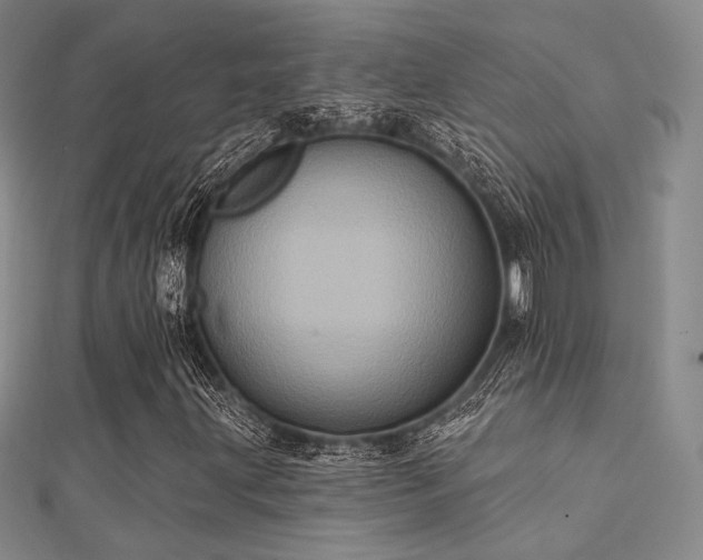 X0000112031203200908101331