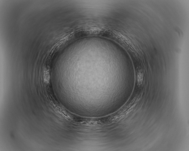 X0000112031204200908101331