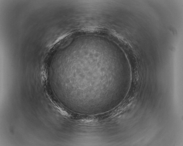 X0000112031206200908101331