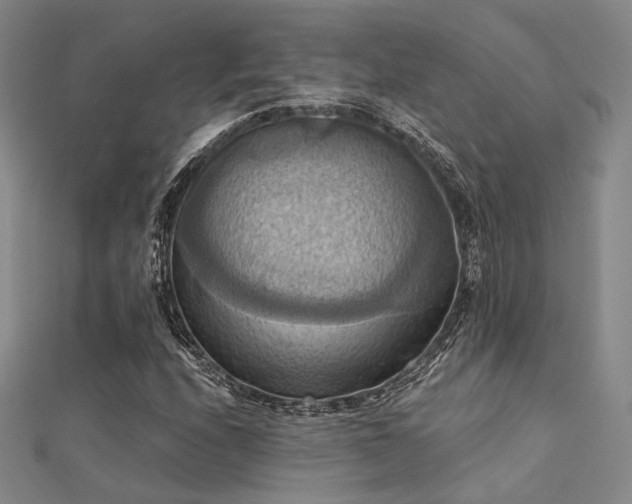 X0000112031208200908101331