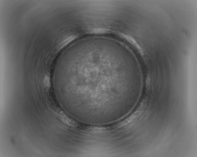 X0000112031209200908101331