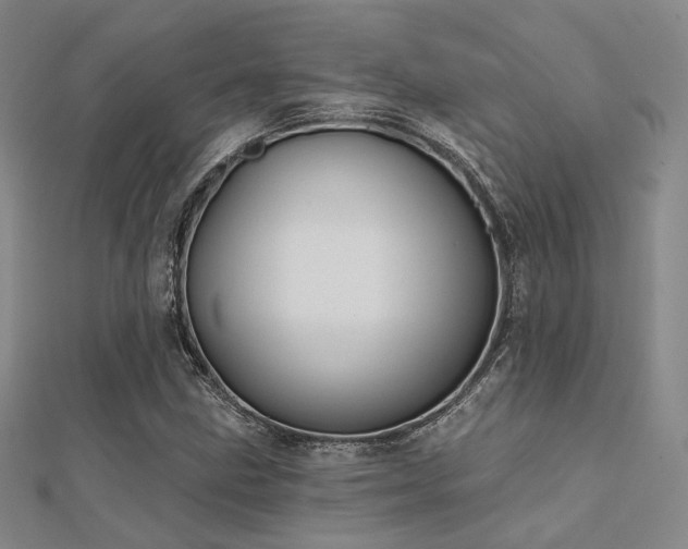 X0000112031211200908101331
