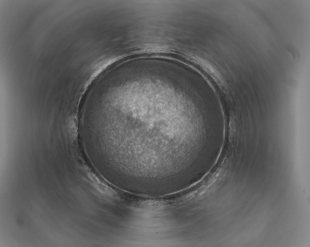 X0000112031212200908101331
