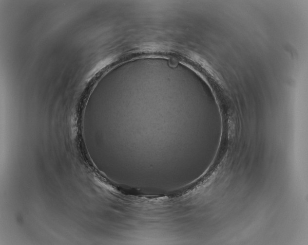 X0000112031213200908101331