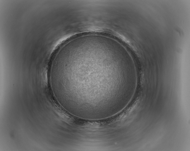 X0000112031214200908101331