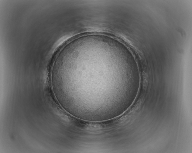 X0000112031215200908101331
