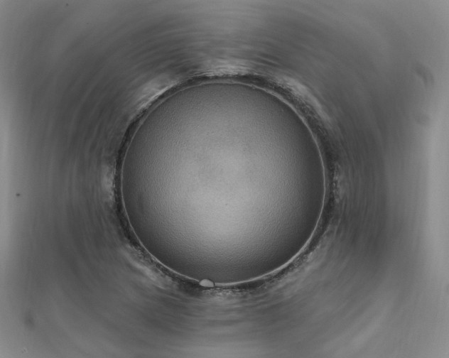 X0000112031217200908101331